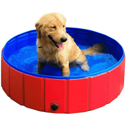 Piscina Plegable Para Mascota 80x20 cm - Comercializadora 1018
