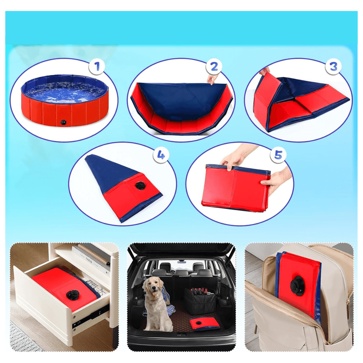 Piscina Plegable Para Mascota 80x20 cm - Comercializadora 1018